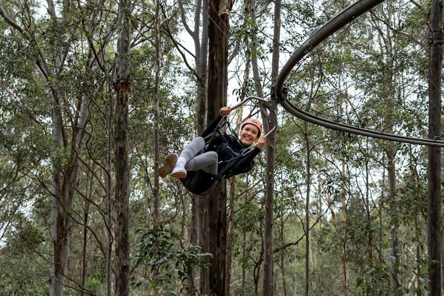 Treetops Adventure Central Coast: Zipcoaster Ride, at Treetops Adventure Central Coast, Sydney