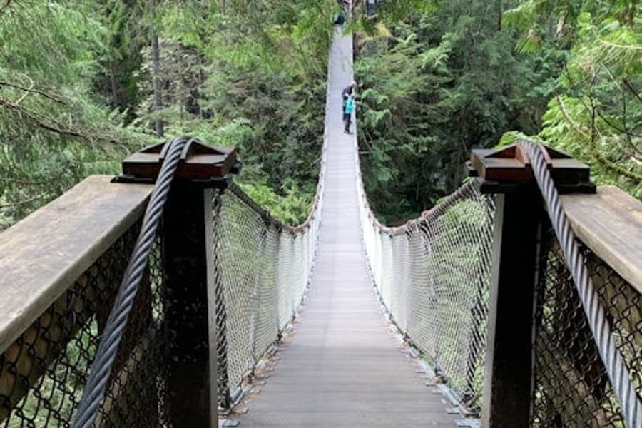 Vancouver: Guided Rainforest Hike with Waterfalls & Suspension Bridge + Transfer