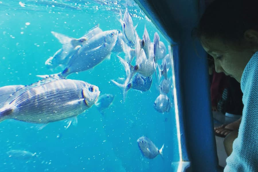Cap Norfeu: 2-Hr Glass Bottom Boat Trip from Roses or Santa Margarita tickets at Costa Brava Boat Trips