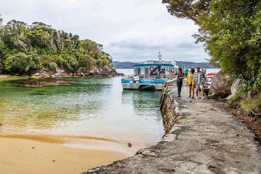 From Stewart Island: Ulva Island Explorer Tour with Paterson Inlet Cruise, Invercargill