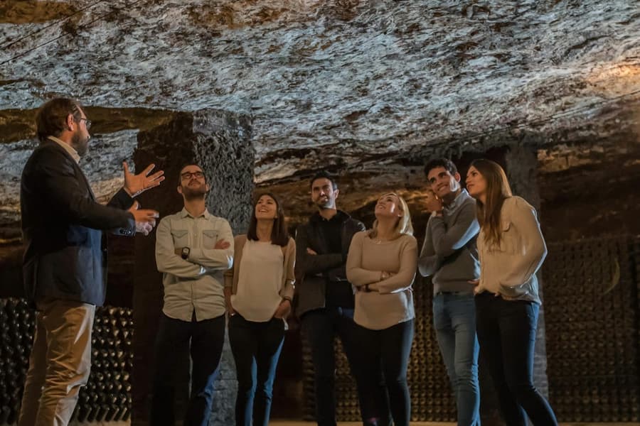 Cavas Freixenet: Guided Winery Tour & Tasting + Aperitif, at Freixenet Winery