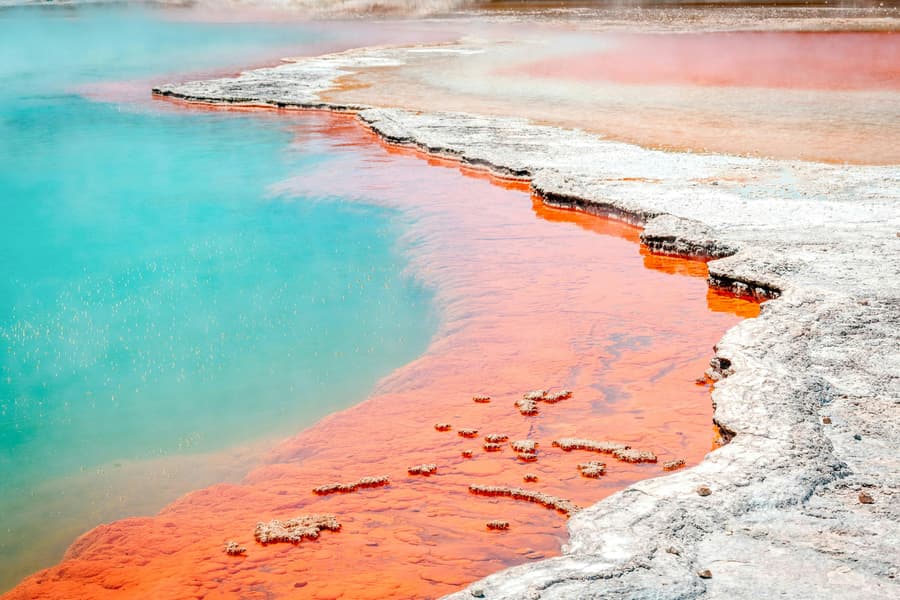 Wai-O-Tapu Thermal Wonderland Tickets, at Wai-O-Tapu Thermal Wonderland, Rotorua