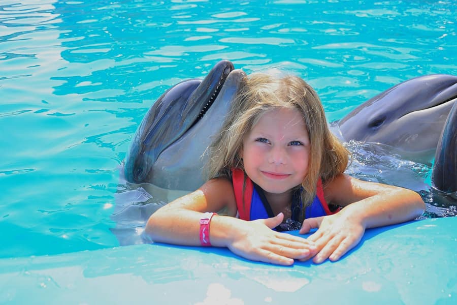 Hurghada Dolphin World Show & Meet-the-Dolphin Photo Experience with Transfers, at Hurghada Dolphin World, Hurghada