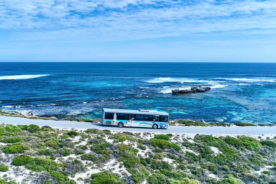 ロットネスト島ガイド付きバスツアーと復路フェリー, Perth