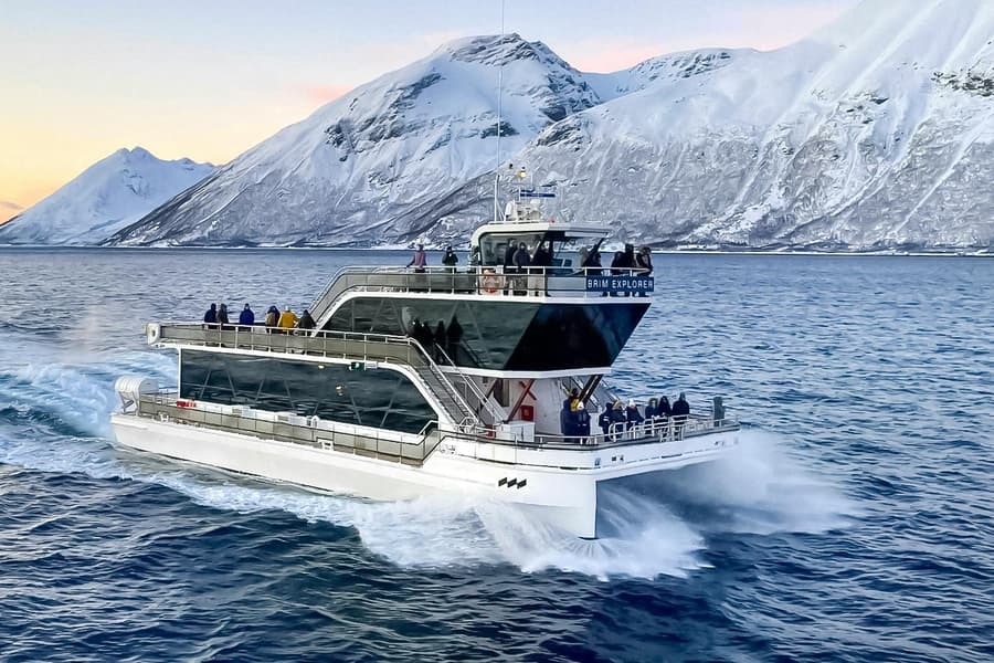 From Tromso: Arctic Fjord Cruise & Wildlife Tour tickets at Tromso