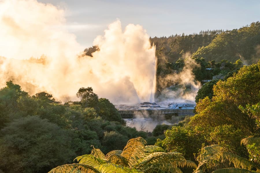 Те Пуиа: Те Ра с обиколка с екскурзовод, at Te Puia Hemo Rd, Tihiotonga, Rotorua, New Zealand, Rotorua