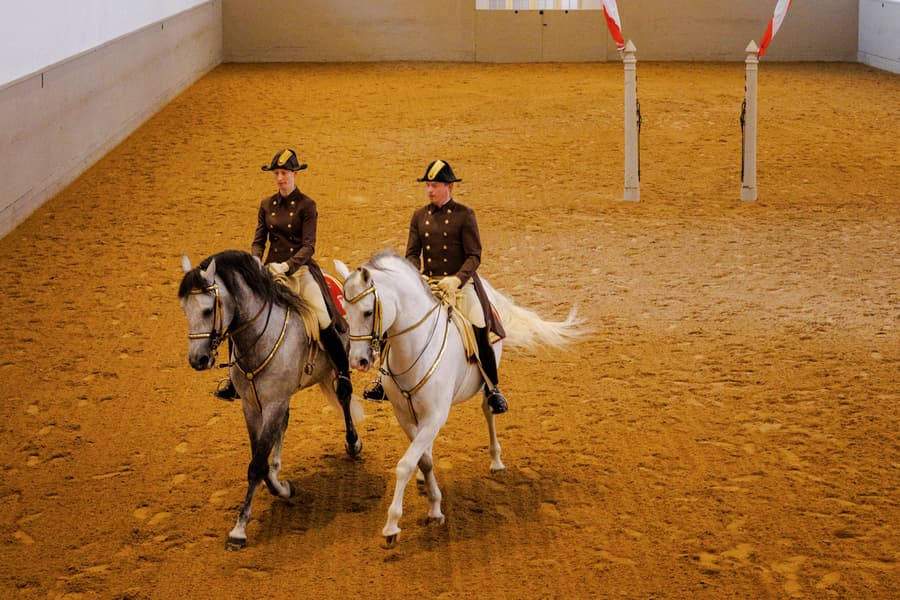 Spanish Riding School Guided Tour, at Spanish Riding School, Vienna
