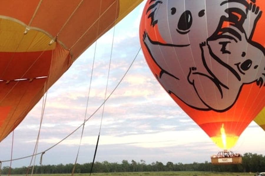 Gold Coast: Hot Air Balloon Experience + Drink tickets