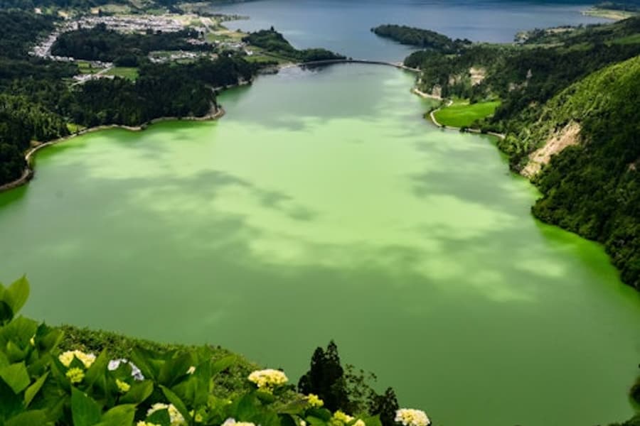 São Miguel Island: Heldags Guidet Tur til Sete Cidades + Transport, at Sao Miguel Island Tours, Ponta Delgada