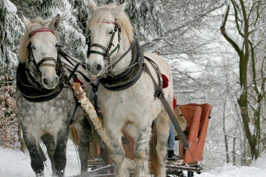 Zakopane & Sleigh Ride with Bonfire: Private Tour from Krakow