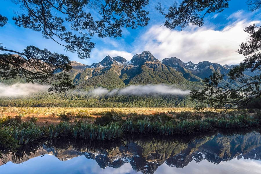 From Queenstown: Milford Sound Scenic Flyover & Cruise, Queenstown