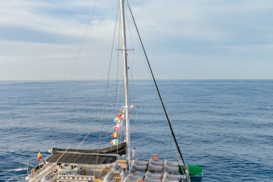 Tenerife: Tur de 3 ore pentru observarea balenelor și delfinilor, at Tenerife Sailing Tours, Costa Adeje