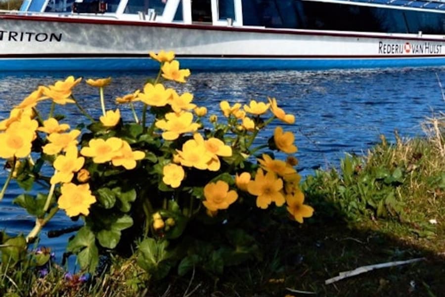 티카두: 카트베이크 출발 바람개비와 호수 크루즈, at Lisse Windmill Cruises, Lisse