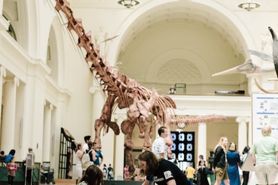 Inträdesbiljett till The Field Museum of Natural History, at Field Museum of Natural History, Chicago
