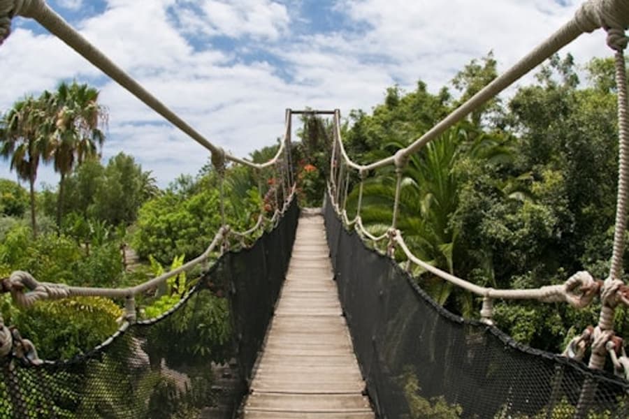 Jungle Park: Entrada, at Jungle Park, Arona