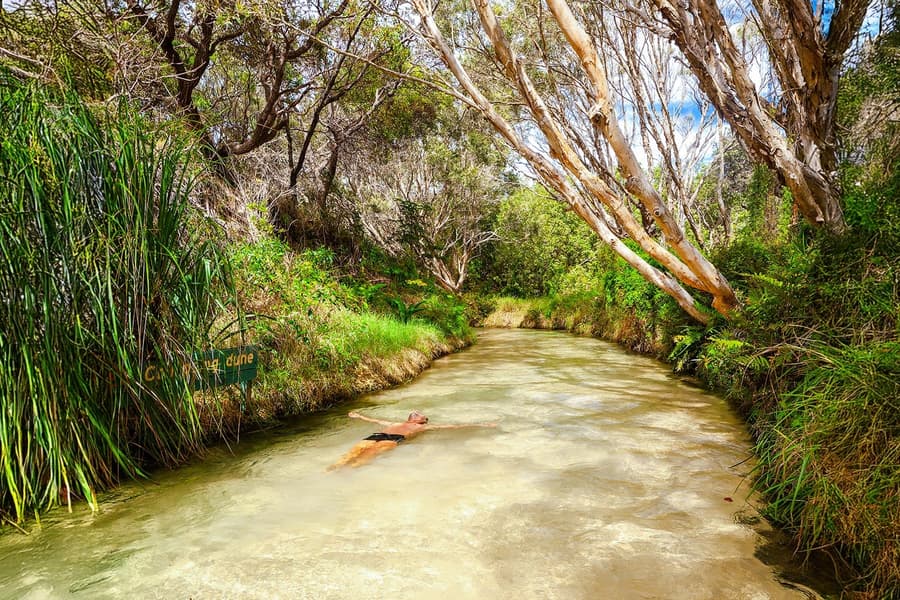From Rainbow Beach: K'gari (Fraser Island) 1-Day Classic Tour, Brisbane