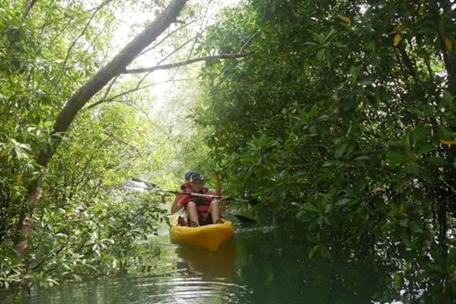 Pulau Ubin Kayaking & Cycling Full-Day Tour with Lunch tickets