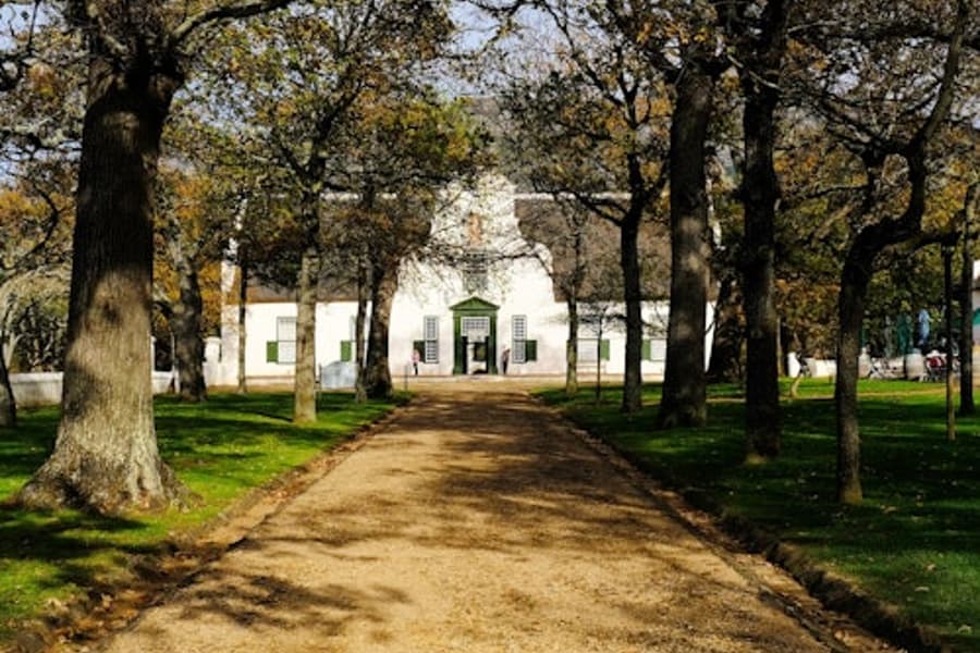Groot Constantia Wine Estate, Cape Town