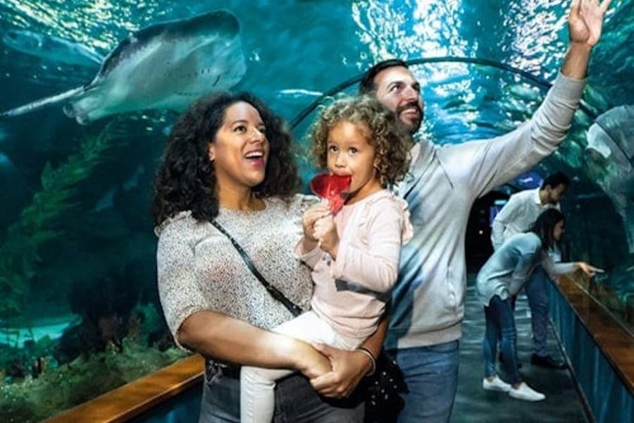 ลอโร ปาร์ก: ตั๋วเข้าชม + ตั๋วไดมอนด์พาส, at Loro Parque, Puerto De La Cruz