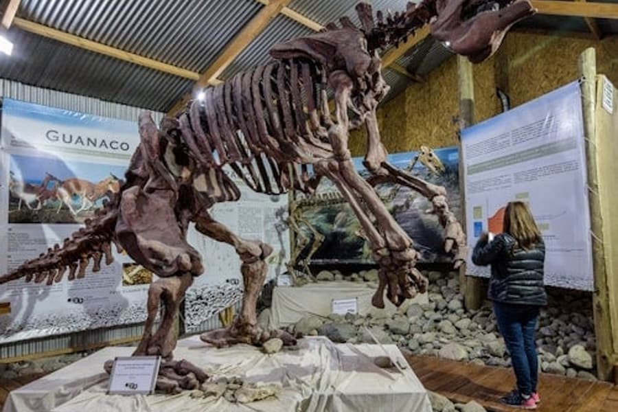 Punta Walichu: Guided Tour + Roundtrip Transfer, El Calafate