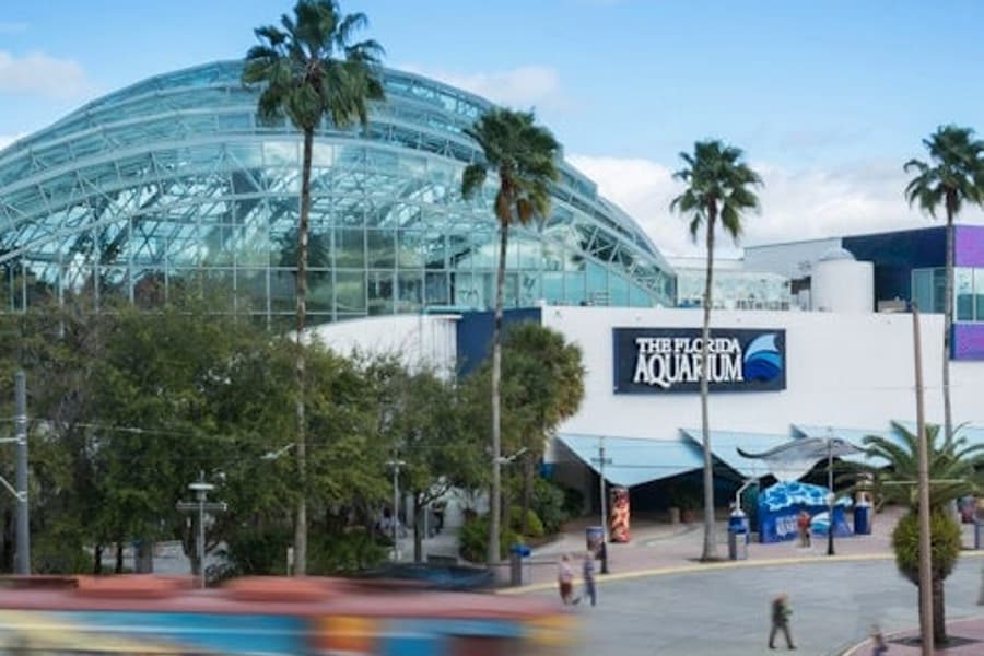 比奧公園希洪水族館:入場票, at The Florida Aquarium, Tampa