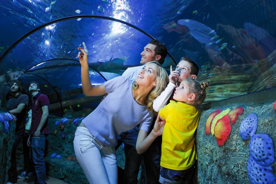 Gardaland Sea Life Akvárium belépőjegyek, at Gardaland SEA LIFE Aquarium, Verona