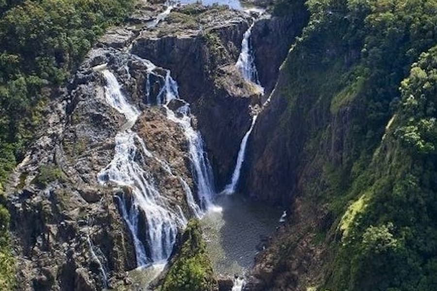 Barron Falls & Cattana Wetlands: Tour + Lunch + Cableway or Scenic Railway Ride
