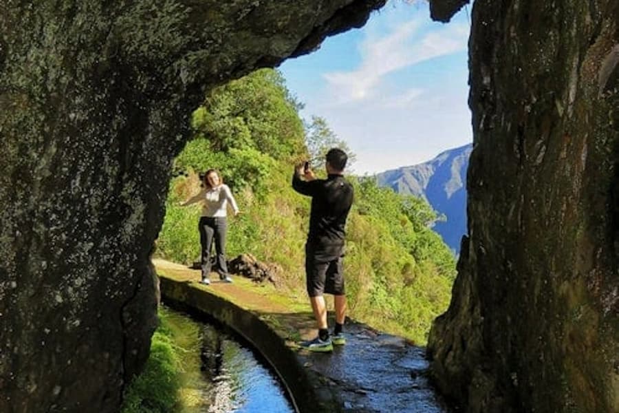 Enchanted Terraces: Guided Madeira Excursion, Funchal