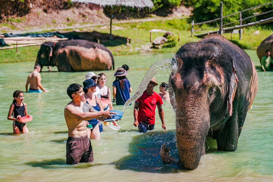 Phuket Elephant Care: Feed, Shower & Mud Spa Guided Tours with Optional Transfers, Phuket