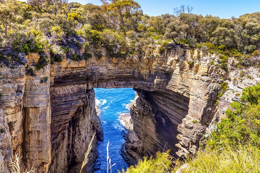 From Hobart: Port Arthur & Tasmanian Devils Guided Tour
, Hobart
