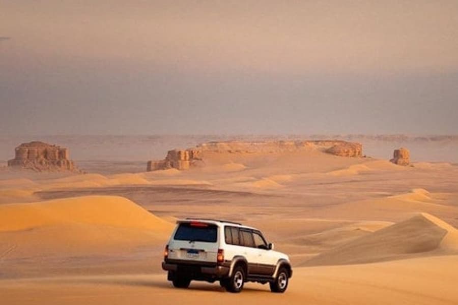 Wadi El Rayan: 4X4 Desert Safari, Sandboarding & Camel Ride from Cairo or Giza, Faiyum