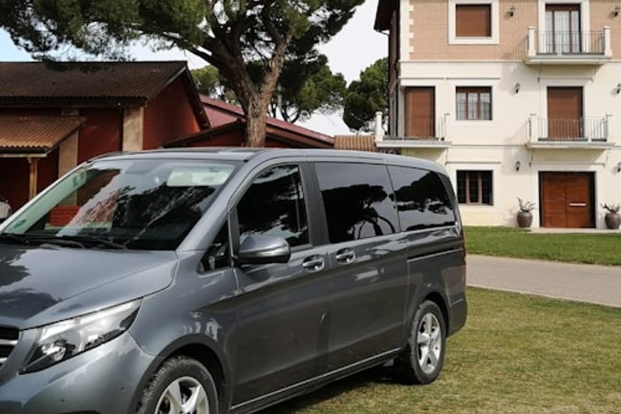 مادرید: ترانسفر خصوصی فرودگاه باراخاس با خودروی مرسدس, at Madrid Airport Transfer, Madrid