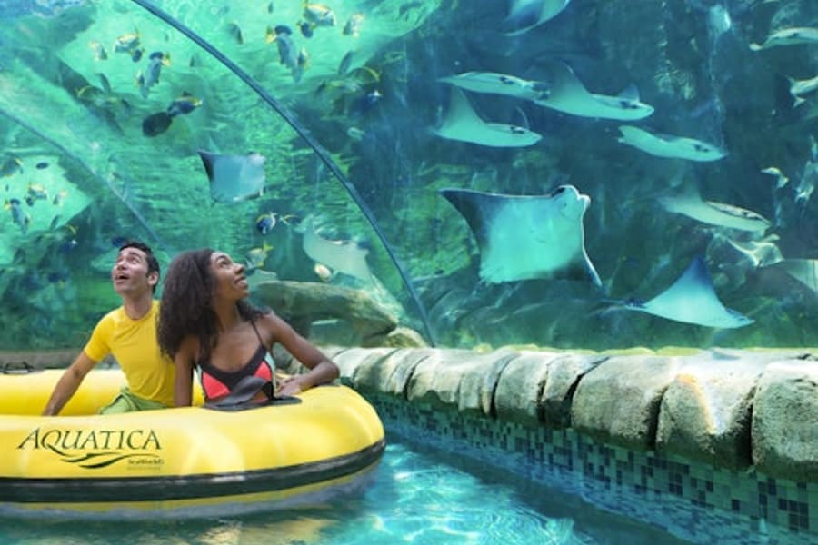 Aquatica San Antonio: Fast Track Ticket, San Antonio