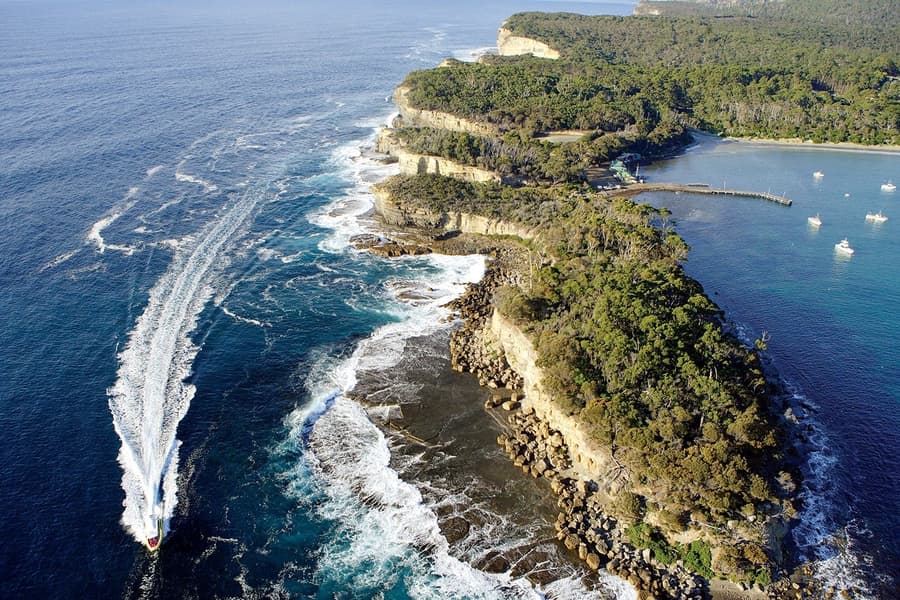 Full-Day Tasman Island Tour with Cruise and Lunch from Hobart, Hobart