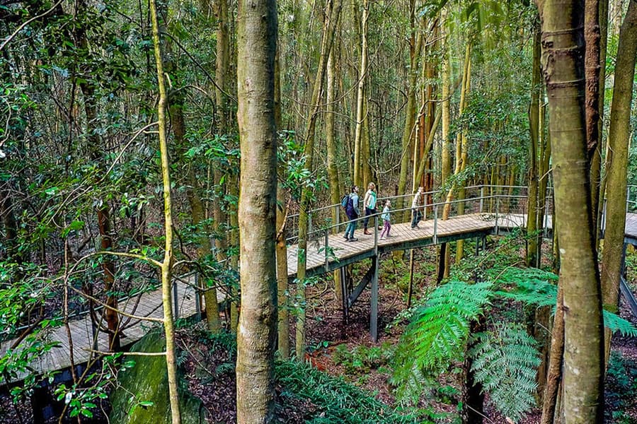 Blue Mountains Scenic World Tickets, Sydney