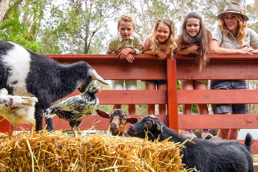بونورونگ وائلڈ لائف سینکچری کے ٹکٹس, at Currumbin Wildlife Sanctuary, Gold Coast