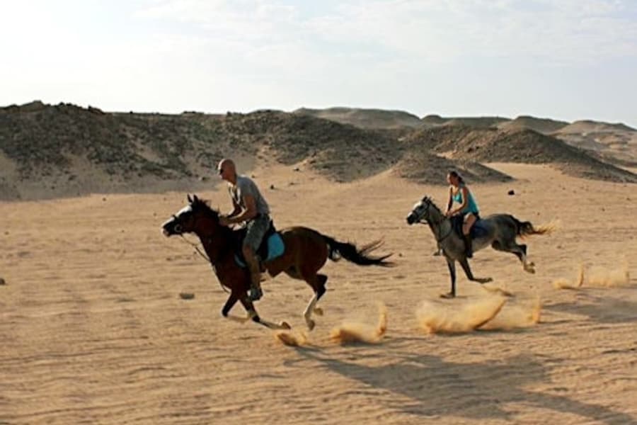 Марса-Алам: Пустынное и морское приключение на лошадях, at Outdoor Activities in Marsa Alam, Marsa Alam