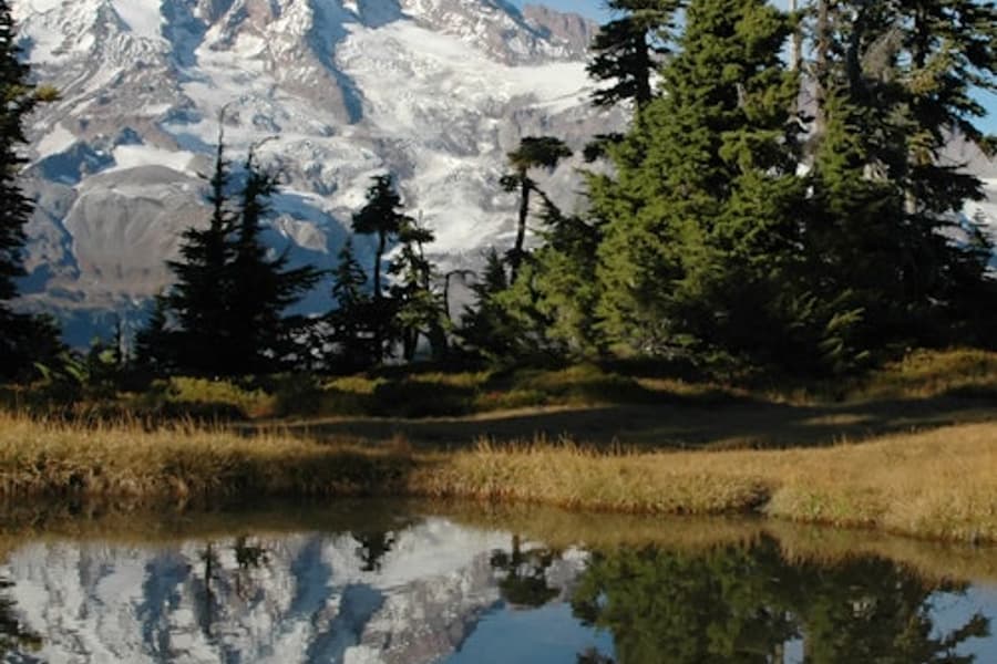 Mt. Rainier: Lahat-Kasamang Maliit na Grupo na Araw na Paglalakbay mula sa Seattle, Seattle