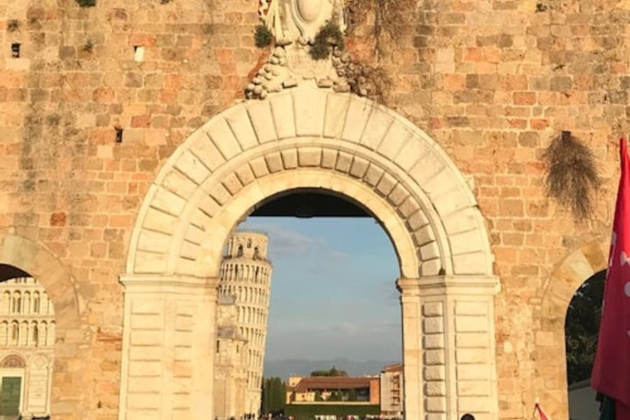 ピサ: ピサの斜塔入場券 + ガイド付きツアー & ワインテイスティング, at Tower of Pisa, Pisa