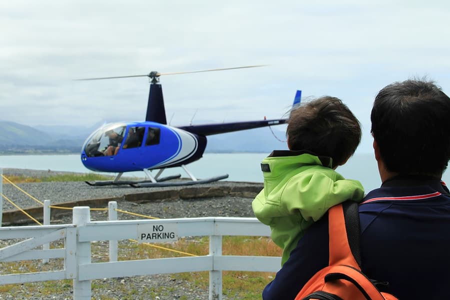 Klasyczna wycieczka helikopterem z obserwacją wielorybów w Kaikoura, at 16 West End, Kaikoura