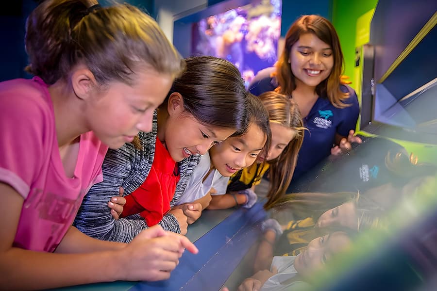 Aquarium of the Pacific Skip-the-Line Tickets, Los Angeles