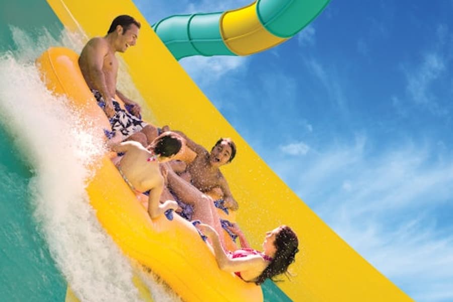 冒險島坦帕灣:快速通道, at Adventure Island Tampa Bay, Tampa