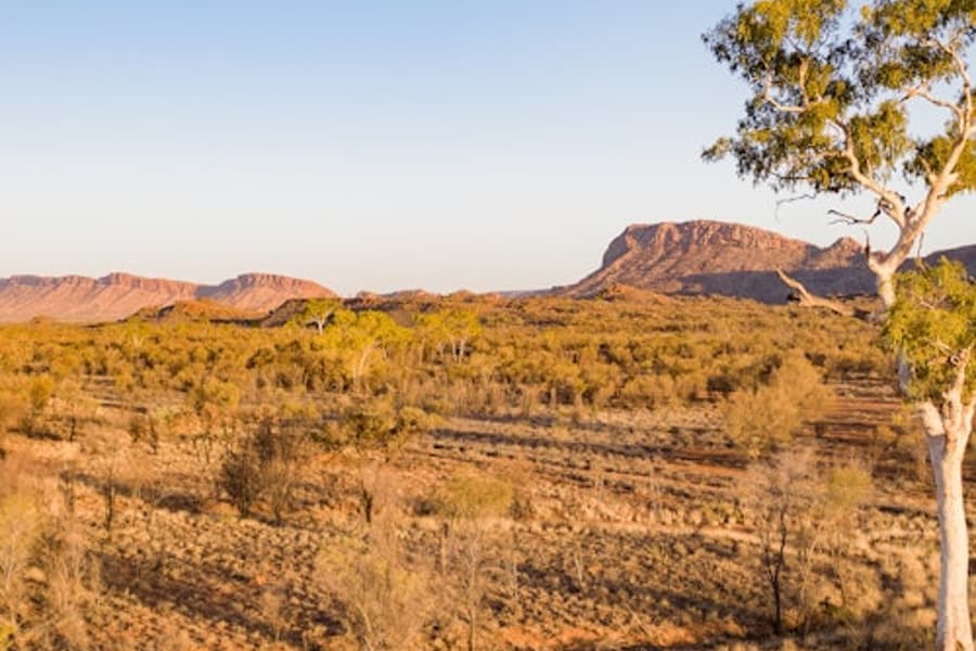 Cordillera West MacDonnell: Tour Guiado + Traslado de Ida y Vuelta + Almuerzo, Alice Springs