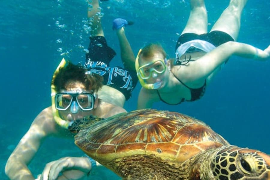 Green Island Eco Adventure Tour: Catamaran Cruise from Cairns