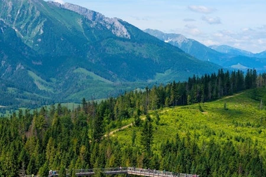 Zdiar : Treetop Walk Bachledka Private Tour from Krakow
