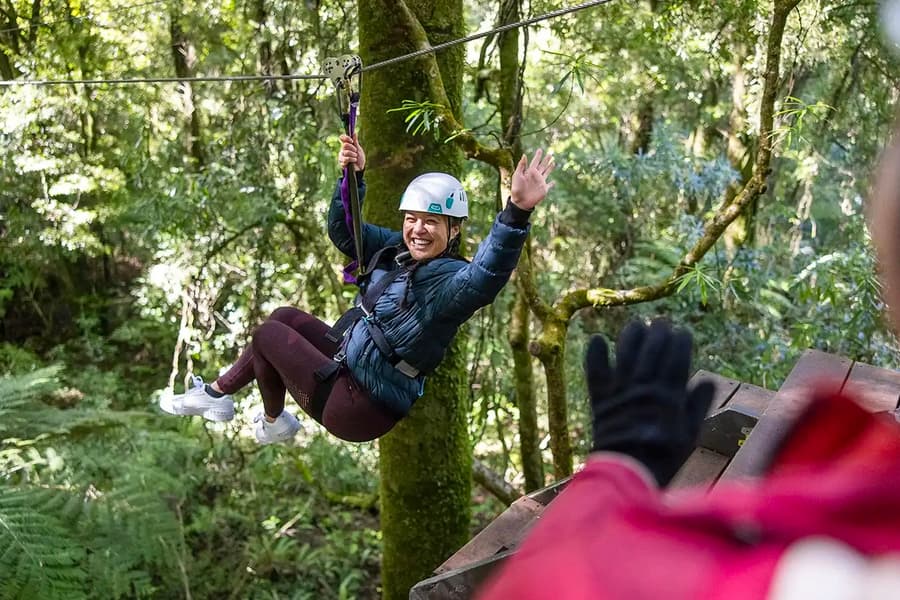 Изживяване с въжени линии в гората на Роторуа, at Rotorua Canopy Tours, Rotorua