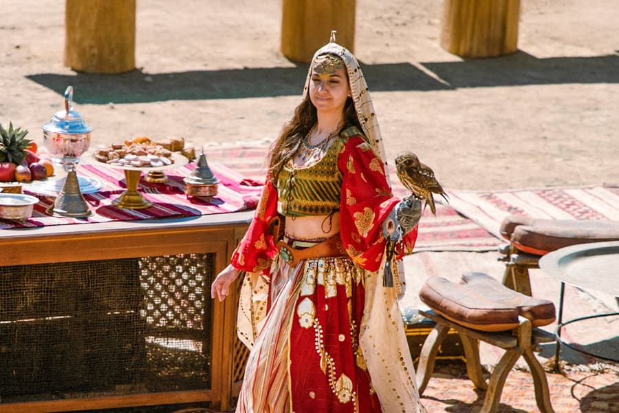 1 Day Pass: Dream of Toledo Night Show + Puy Du Fou España Park Tickets, Madrid