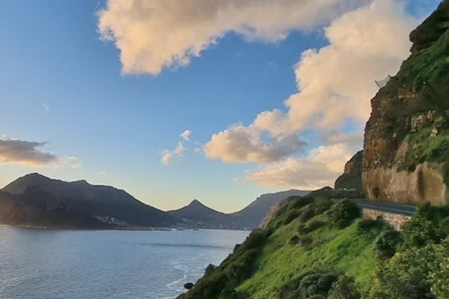 Bán đảo Cape: Tour Hướng Dẫn Cả Ngày + Bữa Trưa + Xe Đưa Rước, Cape Town