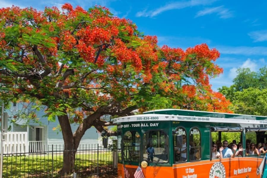 Key West: Hop-on Hop-off Old Town Trolley, Key West
