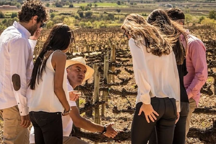 Barcelona: Small-Group Sailing Experience + Winery Visit & Tasting, at Barcelona Boat Trips